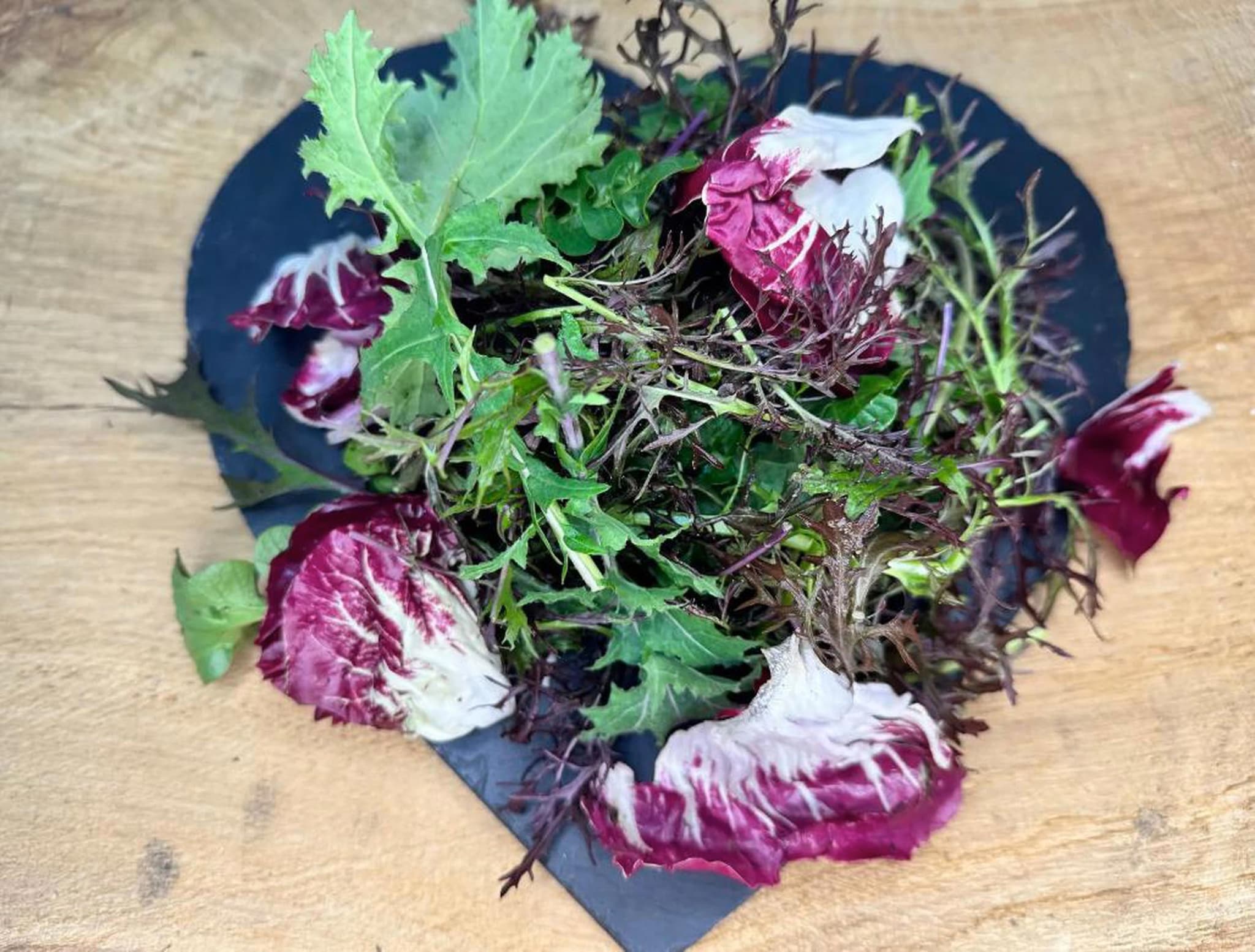 Wholesale Salad
